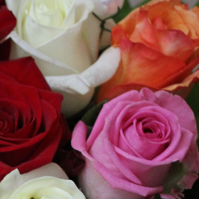 фото 3: Букет из 17 разноцветных роз