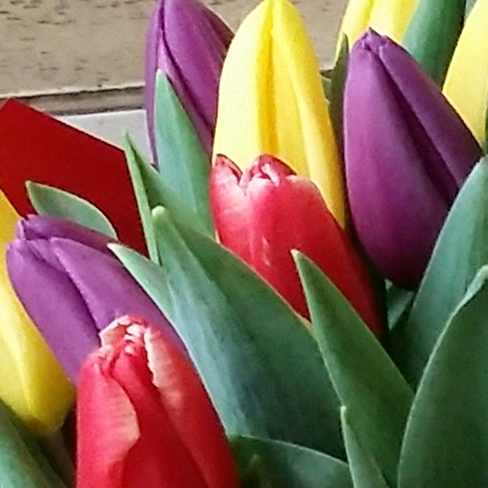 фото 1: Букет из 25 разноцветных тюльпанов