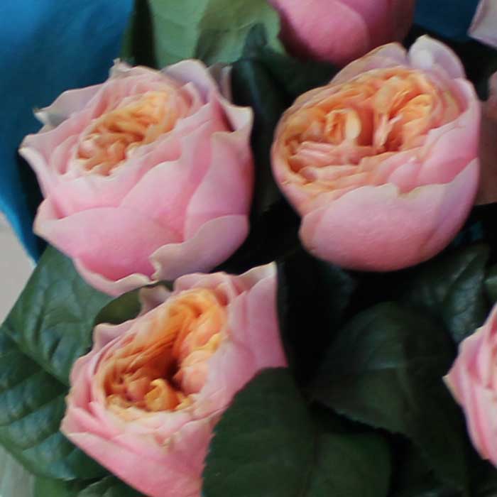 фото 1: Букет из пионовидных роз