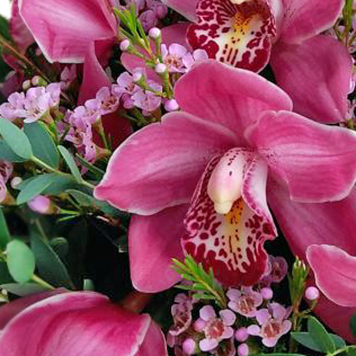 фото 1: Коробка с орхидеями