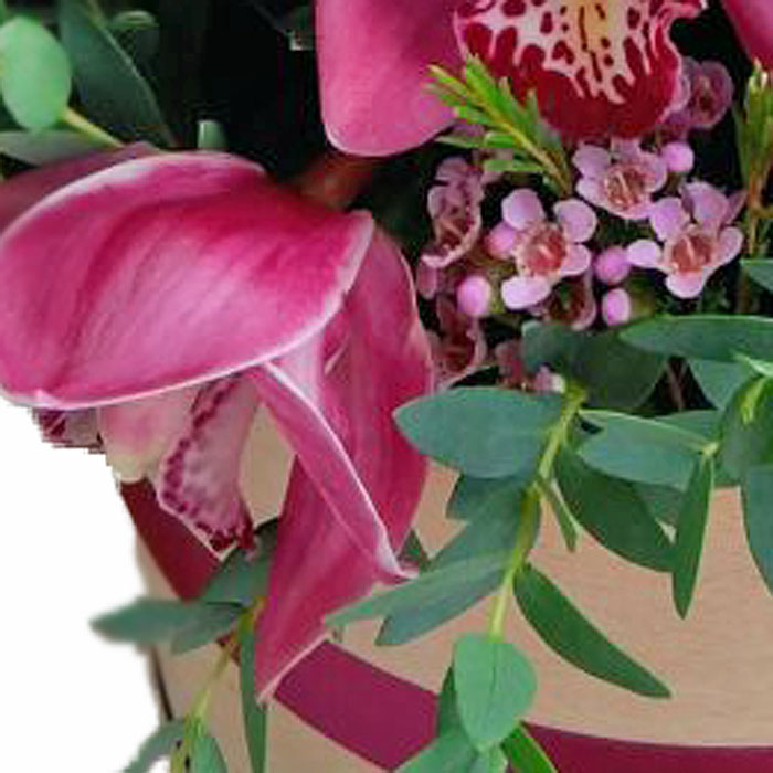 фото 3: Коробка с орхидеями