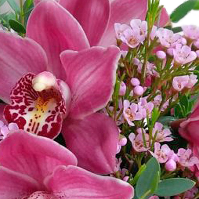 фото 2: Коробка с орхидеями
