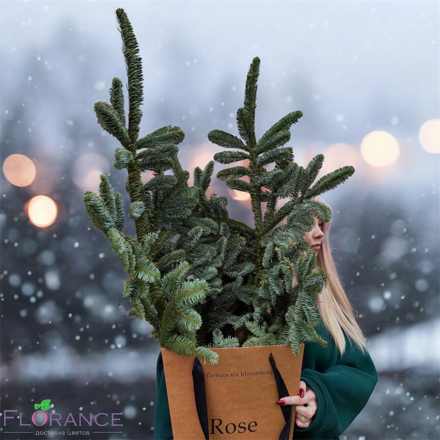 Ветки нобилиса миниатюра 4