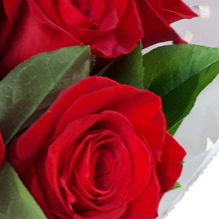 фото 1: Букет из красных роз с зеленью